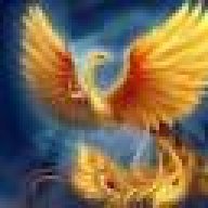 Lebed_81@ukr.net